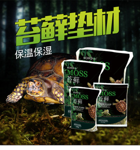 爬虫乌龟苔藓垫材过冬保湿水苔爬宠角蛙鼠妇睫角龟孵化饲养箱底材
