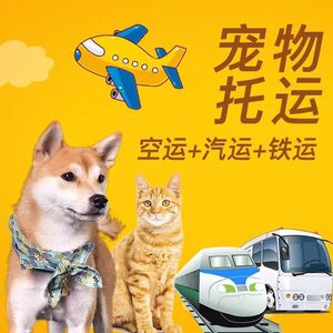 宠物旅客也有安心之旅
