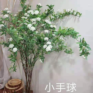 雪柳 雪柳品牌 价格 阿里巴巴