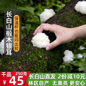 长白山椴木银耳椴木雪耳白木耳250克糯耳出胶银耳干货无硫非通江