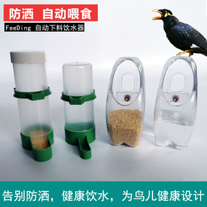 鸟用饮水器自动喂食器喂水喝水器八哥鹦鹉食盒喂鸟食鸟笼配件用品