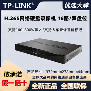 TP-LINK TL-NVR6216-L双盘位16路网络硬盘录像机APP实时远程监控