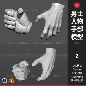 男士手姿势人物手部C4D模型FBX OBJ文件3d素材Blender无材质白模