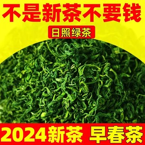 特级日照绿茶2024年新茶叶春茶正宗板栗香豆香鲜山东可礼盒装500g