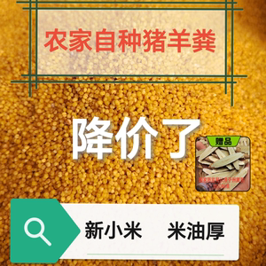 陕北米脂小米一级黄小米香谷米月子米婴儿米米香味足米油丰富