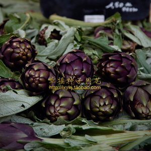 【紫色朝鲜蓟种子】菊蓟洋蓟 法国百合Artichoke多年生  西餐种子