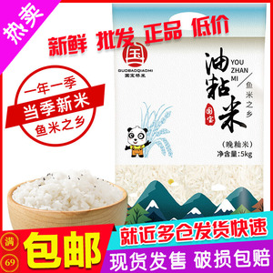 （50斤）国宝桥米油粘米5kg平价大米10斤装湖北籼米煲仔饭专用米