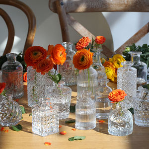 网红迷你透明玻璃花瓶摆件客厅插花鲜花水养ins风法式轻奢小花瓶