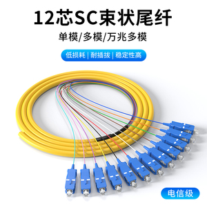 12芯束状尾纤单模光纤跳线SC/UPC广电专用万兆多模集束尾缆电信级