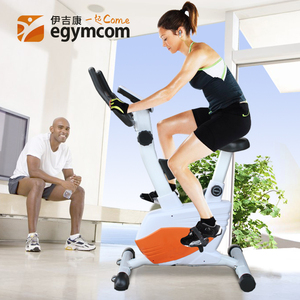 伊吉康磁控健身车超静音动感单车减肥瘦身家用运动健…2013年