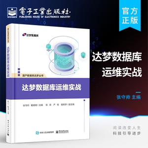 官方旗舰店 达梦数据库运维实战 达梦数据库安装操作运维和管理书籍 DM8数据库安装维护 达梦数据守护DMDSC高可用集群方案