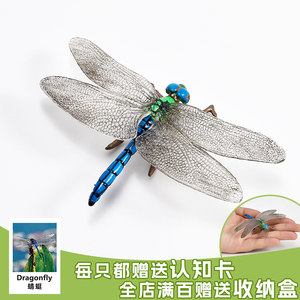 实心儿童仿真昆虫玩具动物模型 蜻蜓丁丁蚂螂点灯儿 认知礼品摆件