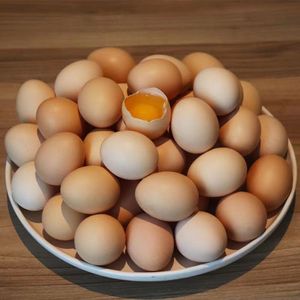 新鲜农家柴鸡蛋土鸡蛋30枚60枚整箱正宗山东笨鸡蛋柴鸡蛋孕妇初生