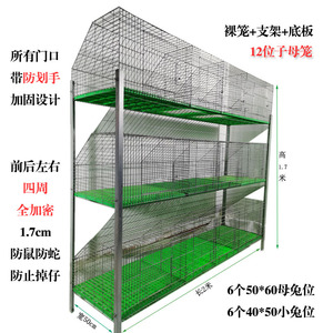 兔笼养殖笼大号三层12位免清粪子母兔笼大型养殖场家用兔子笼子