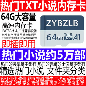 热门TXT电子书内存卡精选小说存储卡MP3MP4手机阅读器玄幻耽美TF