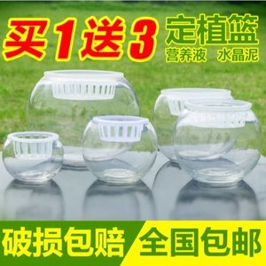 玻璃花瓶透明圆球送定植篮富贵竹风信子绿萝吊兰花盆水培植物器皿