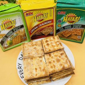 HATARI印度尼西亚进口小麦饼干奶油椰蓉味小饼干网红休闲零食245g