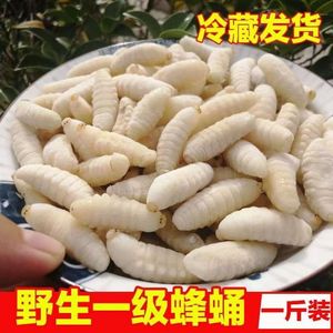 野生一级蜂蛹新鲜冷冻大王马蜂云南特产葫芦峰虎头蜂冰冻500g