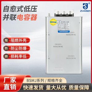 上海威斯康BSMJ0.415/0.44/0.4/0.45-30-3/1自愈式并联电力电容器