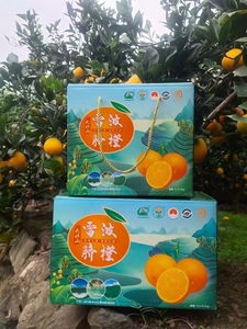 正宗大凉山雷波纽荷尔脐橙特级十斤装二十斤装产地自产自销。