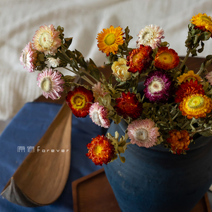 天然真花小雏菊干花多彩菠萝菊花束画室民宿拍照装饰diy相框摆件