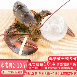 加拿大波士顿龙虾进口海鲜水产鲜活特超大帝王鲍鱼澳洲蟹2-10斤