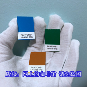 TPM色卡 潘通色小单张 单个 国际标准通用色彩闪光金属色 TPG色卡