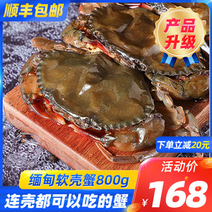 缅甸软壳蟹原装进口青蟹800g/盒8只冷冻螃蟹梭子蟹顺丰包邮