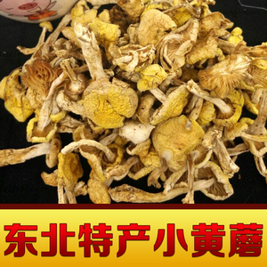 黄蘑东北特产山珍野生小黄蘑菇500g包邮农家晾晒天然美味营养食品