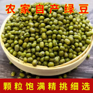 2023内蒙赤峰小绿豆新豆农家自产新鲜芽苗菜种子食用绿豆汤绿豆粥