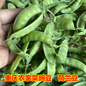 重庆新鲜嫩豌豆荷兰豆农家土豌豆剪豆刀刀豆青豆时令蔬菜辅食包邮