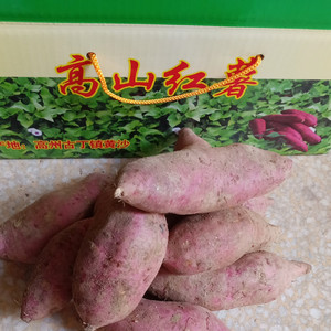 新鲜番薯高山红薯正宗高州古丁黄沙薯 仙人洞甜薯香薯紫薯甜香薯
