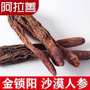 阿拉善野生锁阳整个正品锁阳泡茶泡酒料沙漠锁阳批发