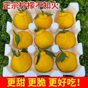 四川蒲江柠檬不知火丑橘时令当季新鲜水果橘子丑柑大果应季包邮甜