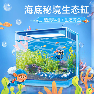 儿童鱼缸DIY造景水族箱幼儿园小学生水培种植观察生长养鱼生态缸