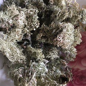 云南景颇山菜野生树毛衣树花菜深山树花菜干货野味拌凉菜天然