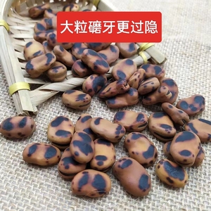 炒蚕豆湖南特产铁锅胡豆铁硬蚕豆熟小时候的味道休闲零食小吃香