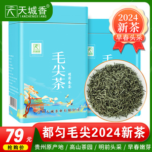 明前毛尖茶叶2024新茶特级高山云雾绿茶浓香型贵州春茶礼盒装250g