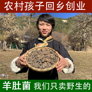 野生羊蘑菇干货100克新货西藏特产羊肚菌香格里拉炖汤顺丰包邮