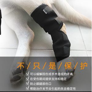 狗狗护腿套宠物腿受伤防添关节固定恢复绑带包裹腿部支架护套用品