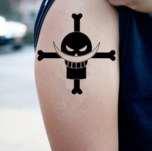 艾斯纹身贴】艾斯纹身贴品牌、价格