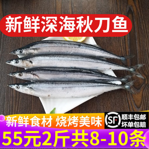 秋刀鱼鲜 冷冻2斤包邮顺丰新鲜海鲜鱼鲜活深海鱼日式烧烤食材商用