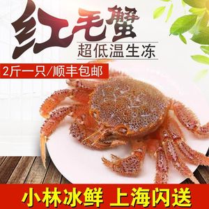 【北海道红毛蟹】 2斤/只俄罗斯大红毛蟹 鲜活进口海鲜螃蟹