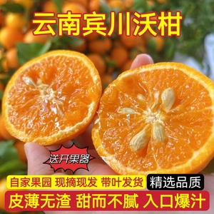 云南宾川沃柑大理高山原产新鲜5斤9斤蜜桔柑橘子应季现摘一级