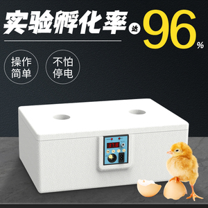 孵化器小型家用水床孵化箱全自动智能鸭鹅鸽子芦丁鸡孵蛋器孵化机
