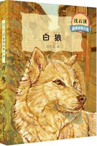 正版沈石溪动物小说全集 全11册 狼王梦全本代表作第七条猎狗儿童