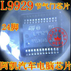 L9929 L9929XP 大乌龟汽车发动机电脑板怠速节气门驱动芯片24脚