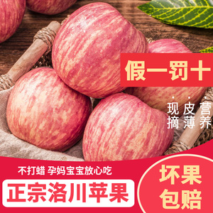 正宗陕西洛川苹果红富士10斤新鲜当季孕妇水果时令脆甜陕西一级果