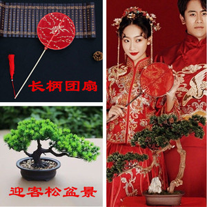 中式婚纱摄影道具松树盆景摆件绿植常青树古装风工笔画道具红扇子