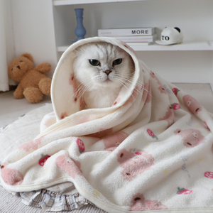 猫咪垫子秋冬季居家保暖毛毯2024新款粉色小熊印花被子银渐层专用